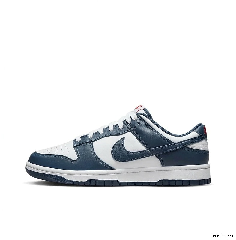 Nike Dunk Retro Style Blue and White Shoes